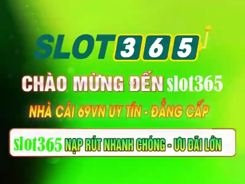 Slot365 - Tổng quan về nền tảng máy đánh bạc trực tuyến