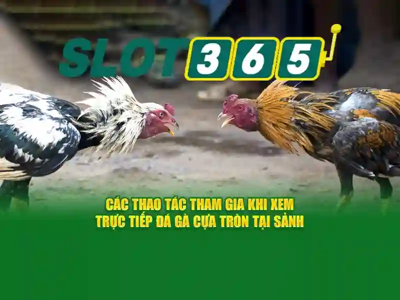 Slot365 bị chặn – tổng quan, sản phẩm và trải nghiệm người dùng