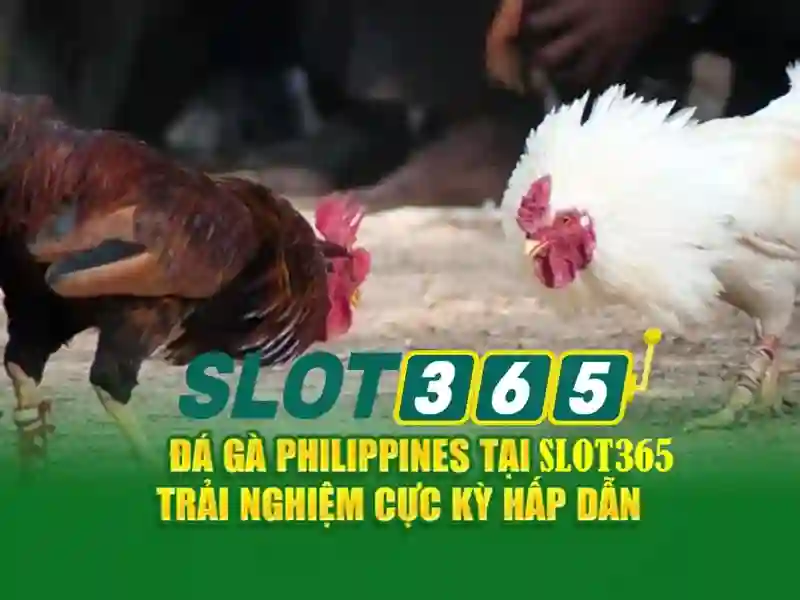 ưu đãi Slot365 – khám phá giá trị và trải nghiệm ưu đãi Slot365