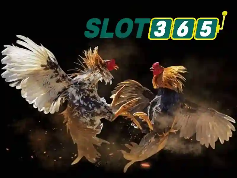 Slot365 an toàn không – Trải nghiệm tin cậy và an tâm