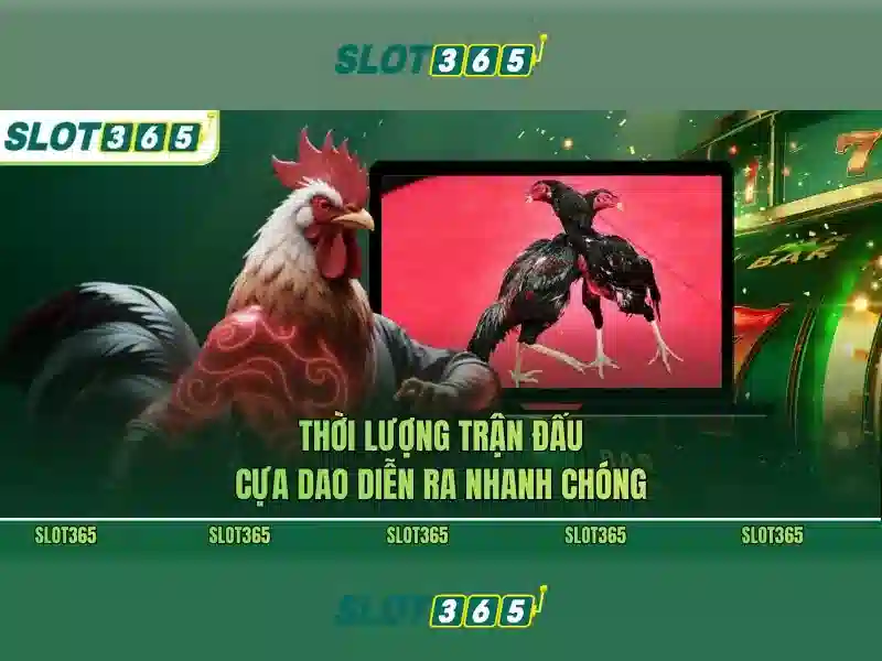 slot365 .com – Trải nghiệm toàn diện và ưu đãi Slot365