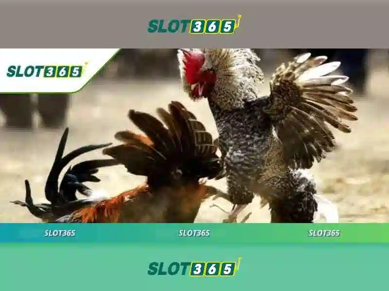 Slot365 - Nền tảng giải trí quay số và slot trực tuyến hàng đầu