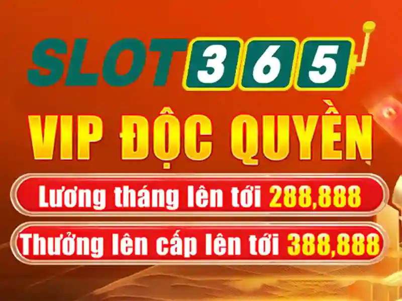 Slot365 - Tổng quan về nền tảng đánh bạc trực tuyến