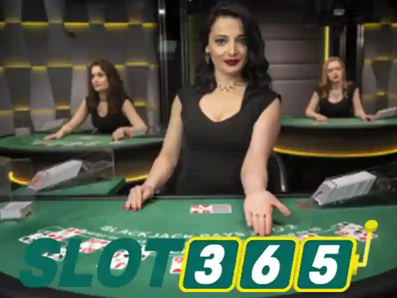 Slot365: Những điều bạn cần biết về nhà cái trực tuyến uy tín